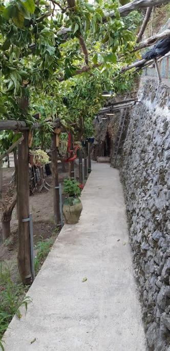 #La Limonaia Della Torretta Vila Minori Exterior foto